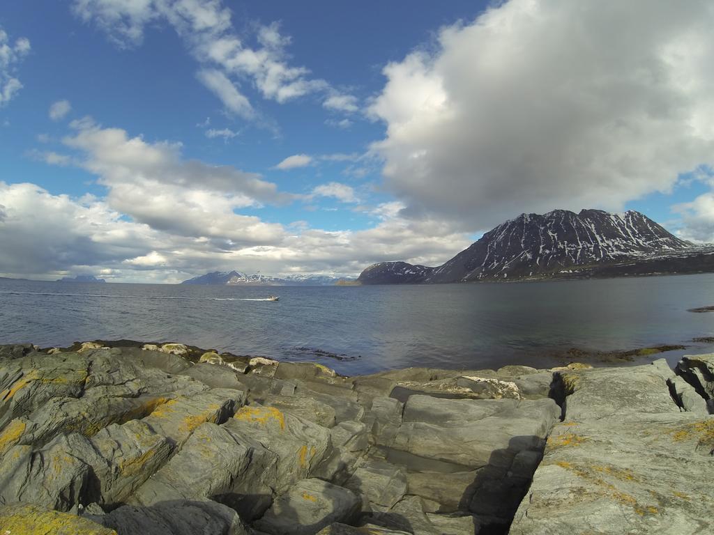 Lyngen Fjordcamp Villa Nord-Lenangen Bagian luar foto