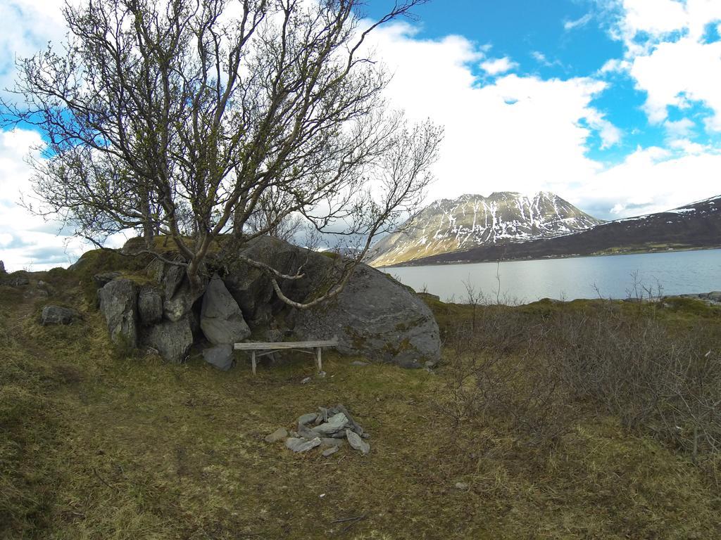 Lyngen Fjordcamp Villa Nord-Lenangen Bagian luar foto