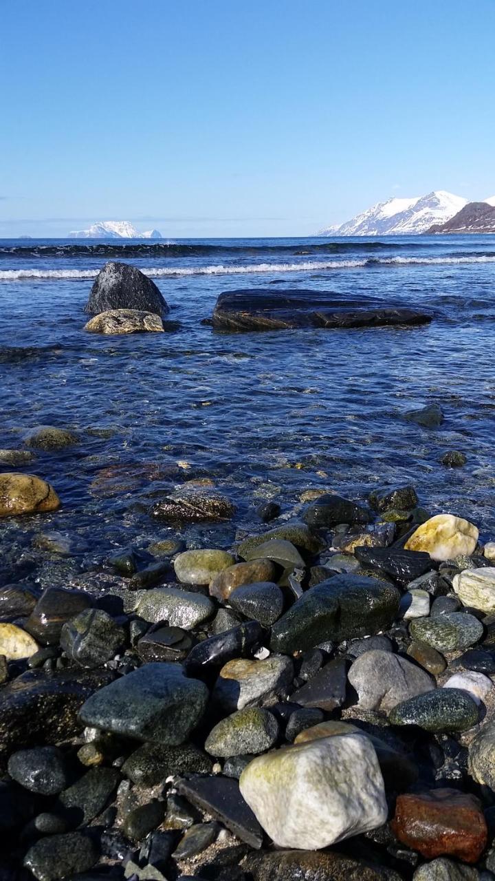 Lyngen Fjordcamp Villa Nord-Lenangen Bagian luar foto